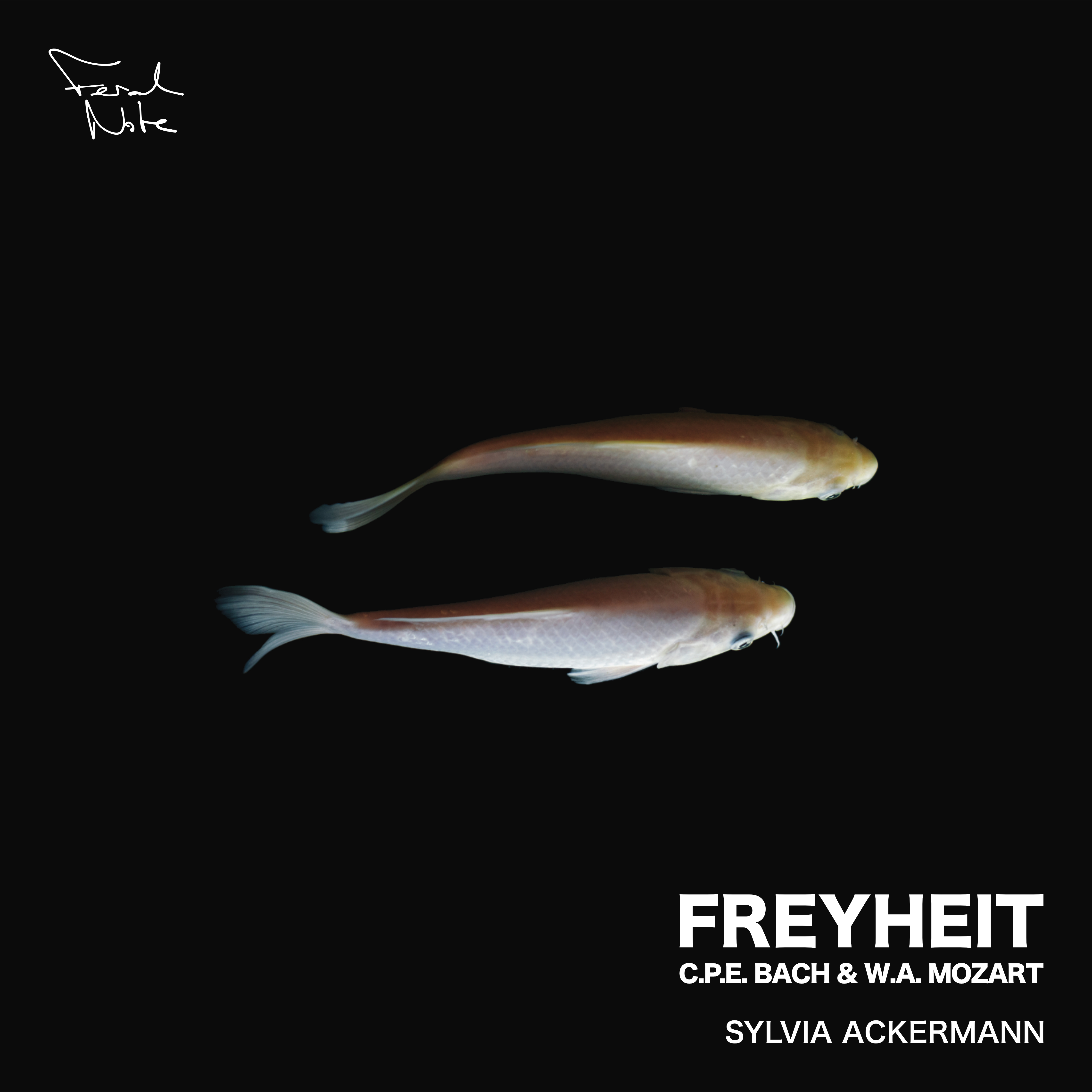 discografie